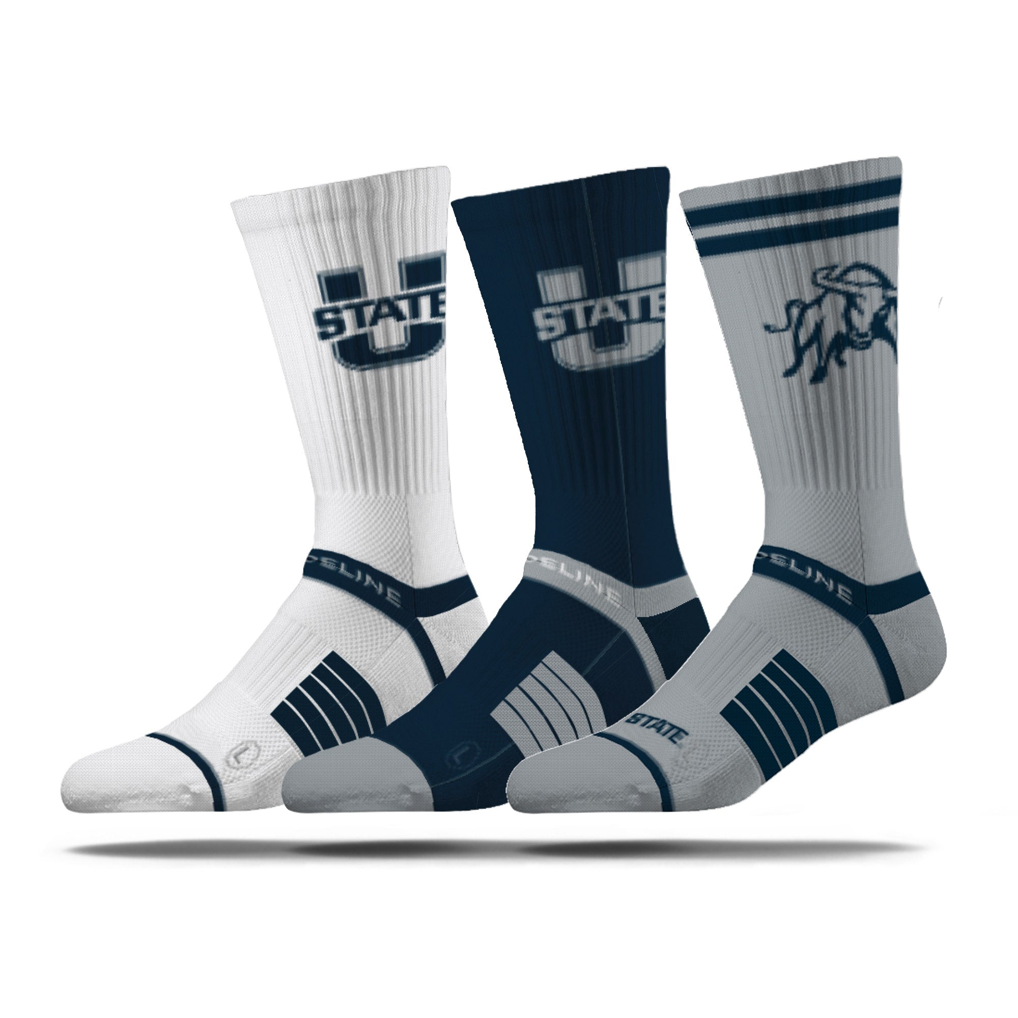 Utah State University