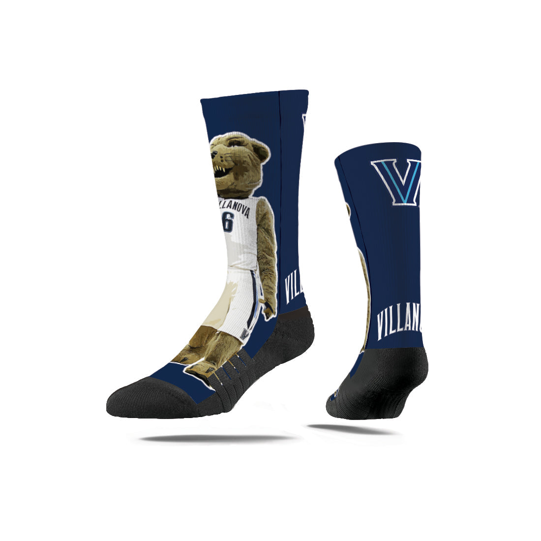 Villanova University