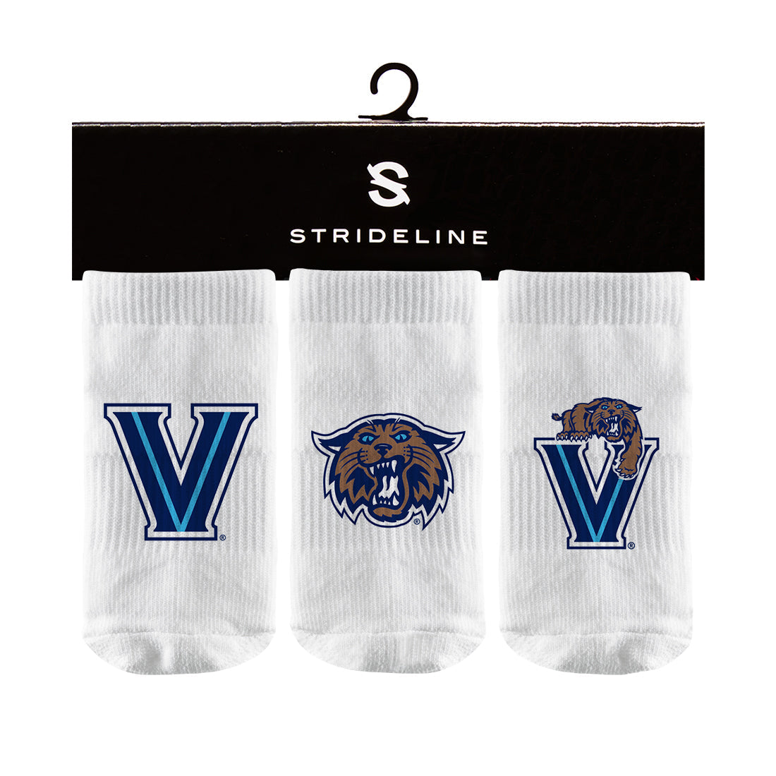 Villanova University