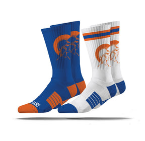 Virginia State University