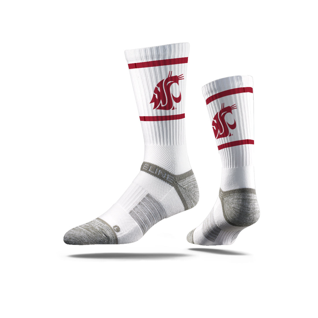 Washington State University