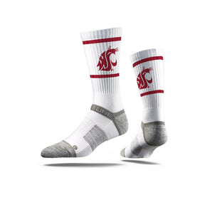 Washington State University