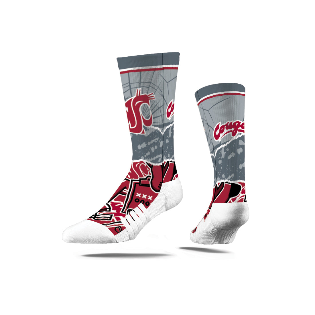 Washington State University