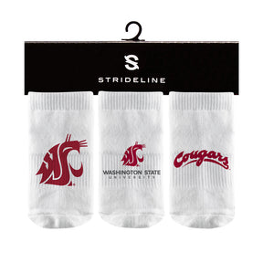 Washington State University