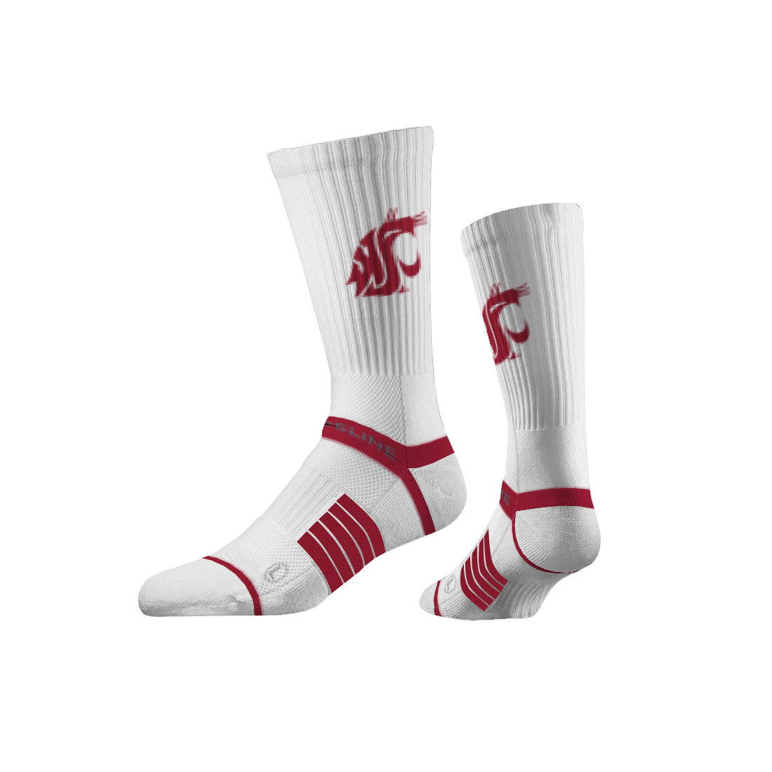 Washington State University