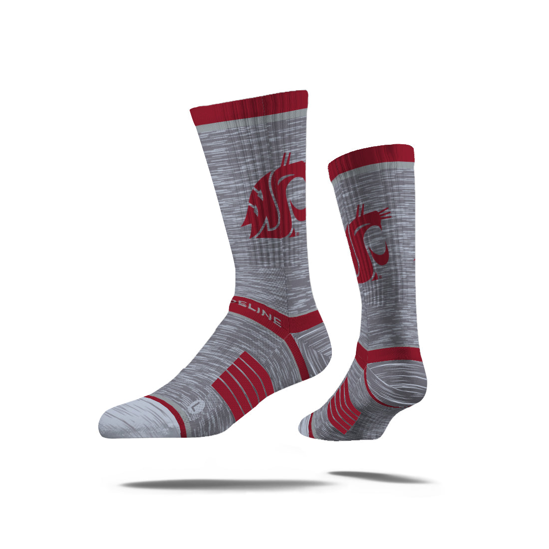 Washington State University