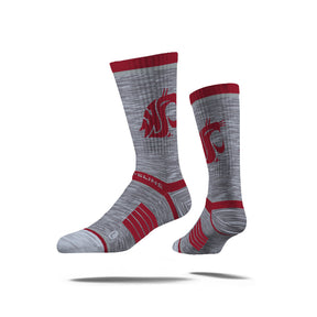 Washington State University