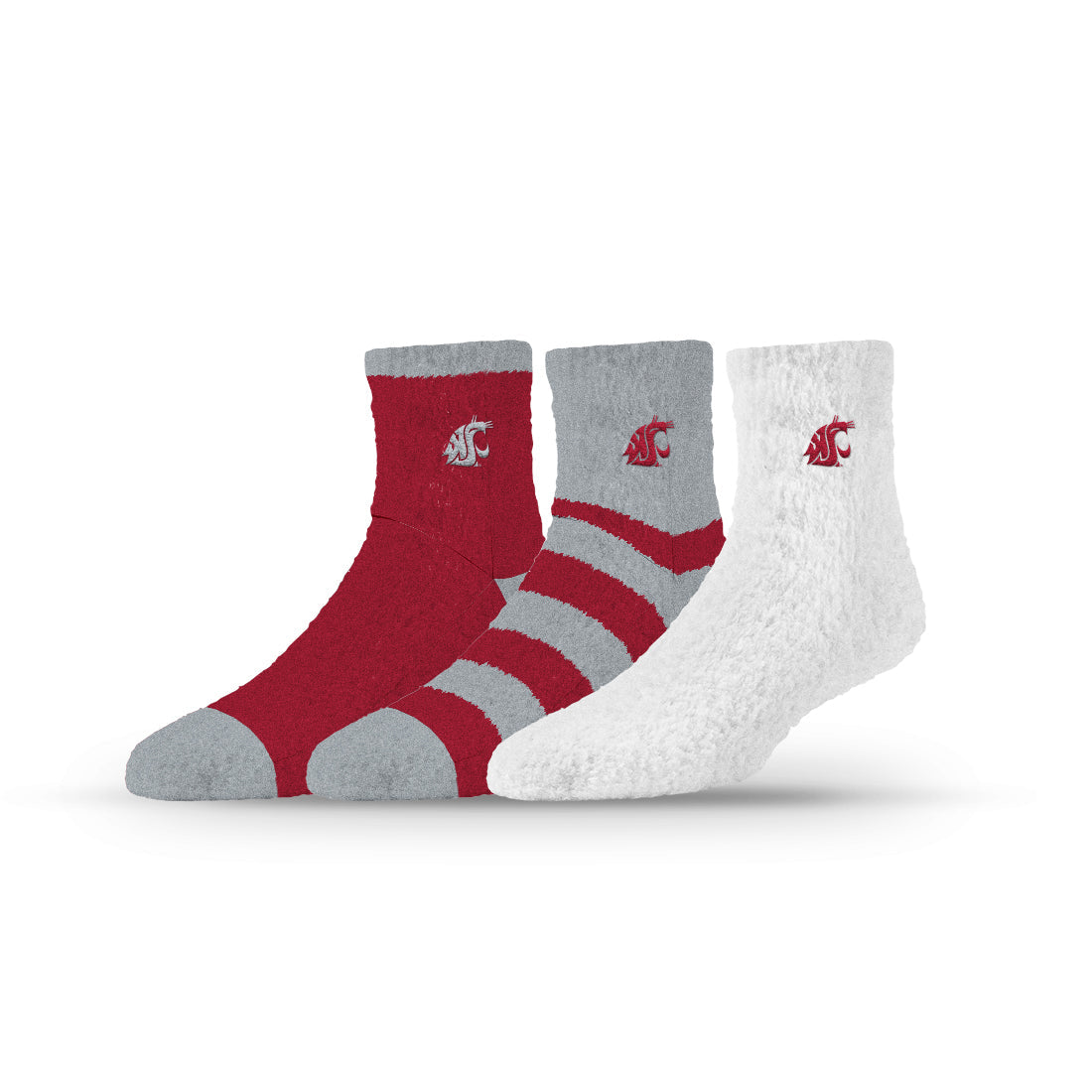 Washington State University