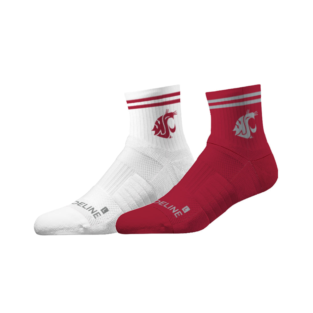 Washington State University