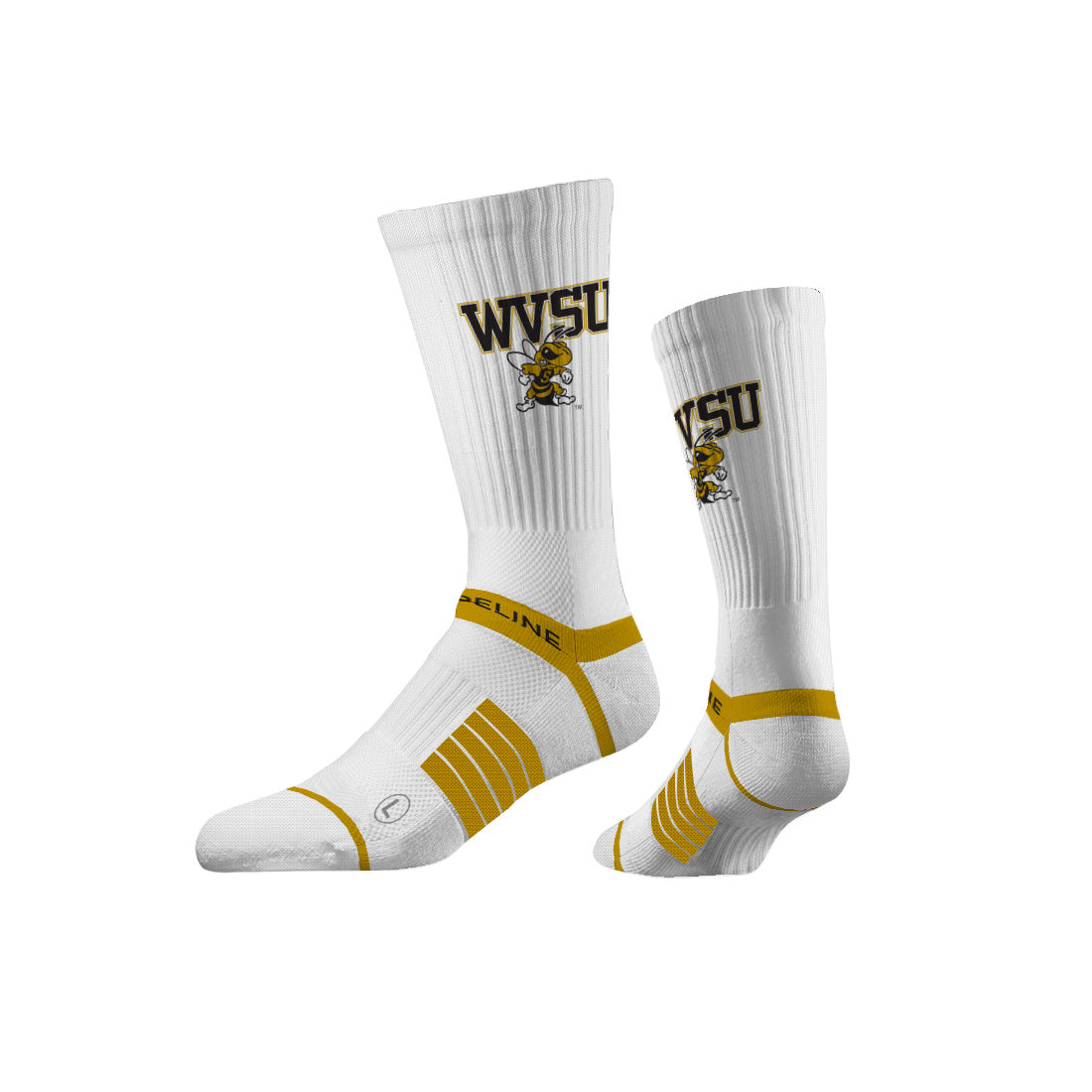 West Virginia State University