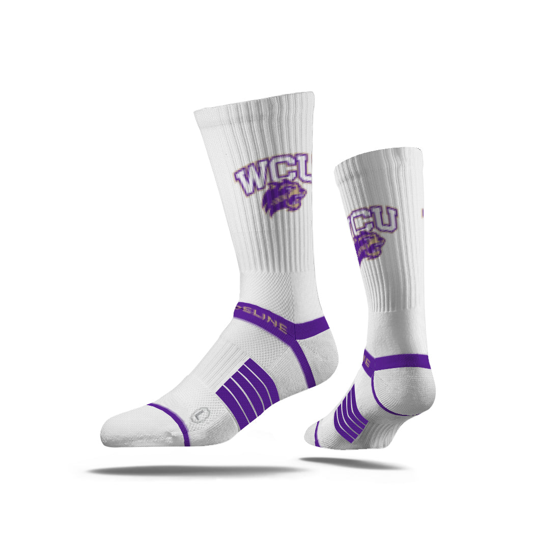 Western Carolina University