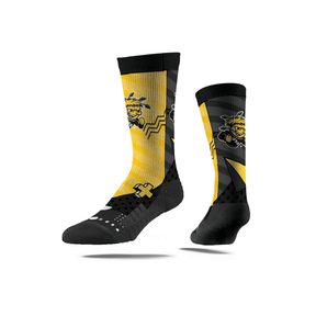 Wichita State University