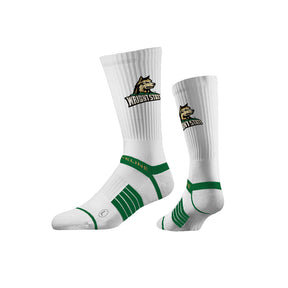 Wright State University