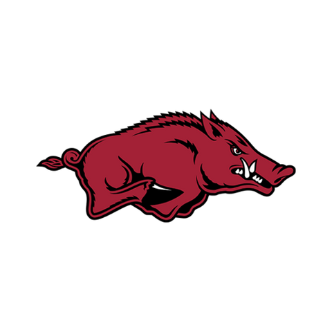 University of Arkansas Fayetteville logo